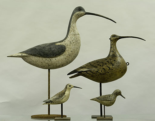 Four Shorebirds