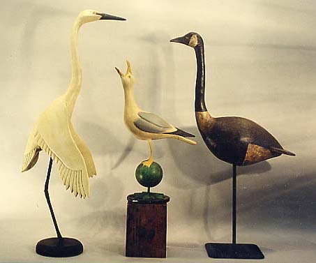 Great White Heron, Barking Gull, and Canada Goose
