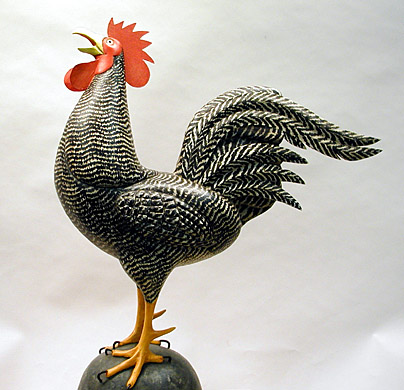 Crowing Barred Rock Rooster