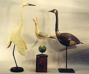 Great White Heron, Barking Gull, and Canada Goose